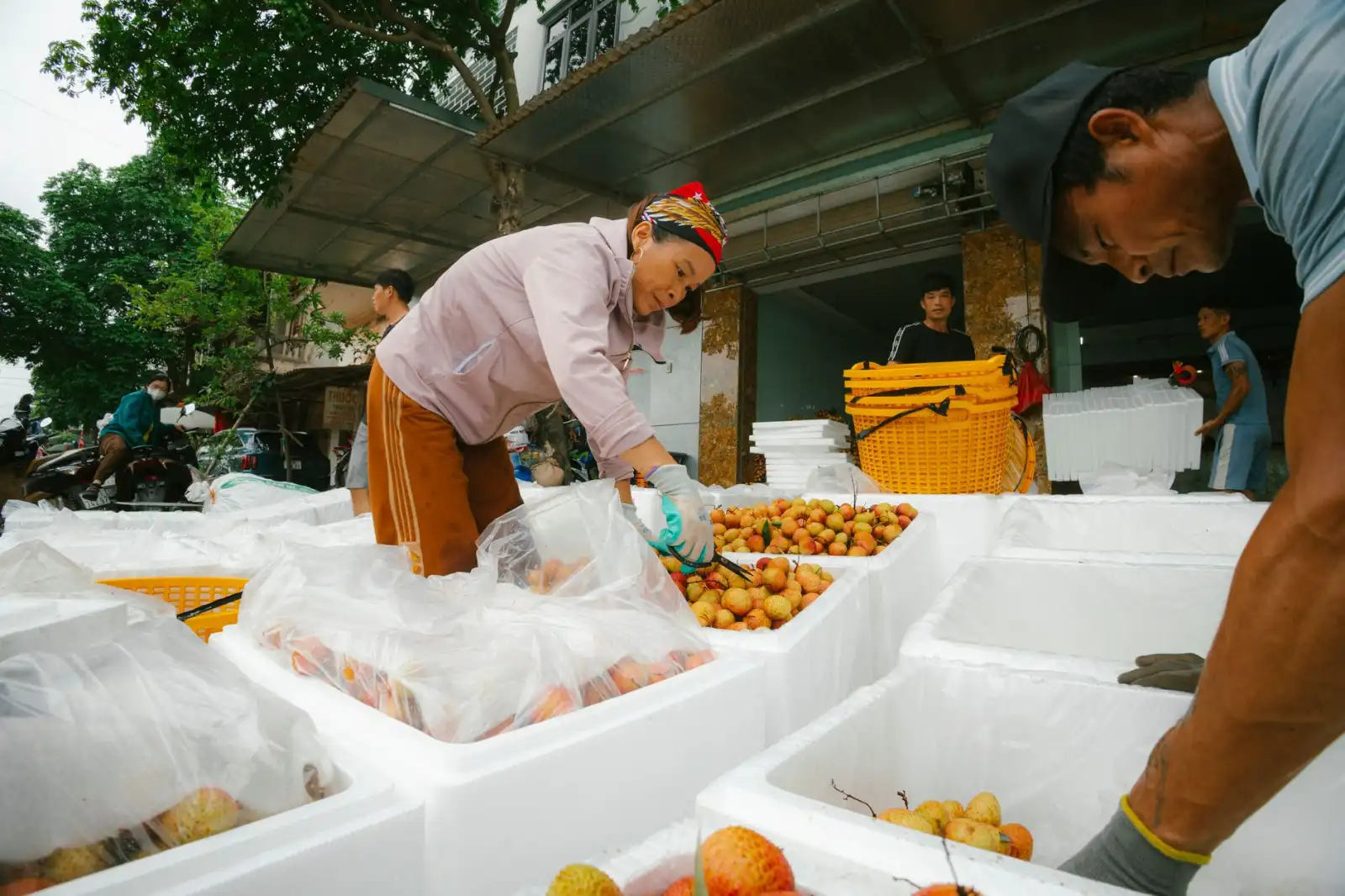 2025年上海企事业单位办公用品与清洁用品集中采购趋势分析